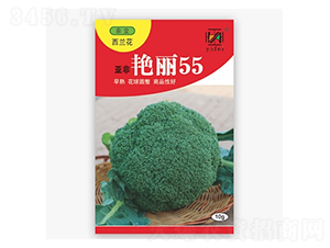 �Ƿ�����55-����������-�Ƿ�