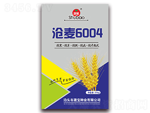 ����6004-С������-�߱���ҵ