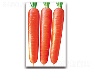 ����172-���ܲ�����-��������