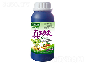 �湦��-��˶���-ӯ��ũҵ