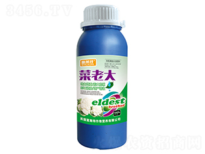 ���ϴ�-ʩ����-ӯ��ũҵ