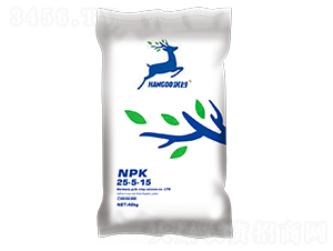 ���ͷ���25-5-15-����-���ַ���