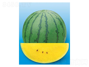 �½���-��������-΢����ҵ