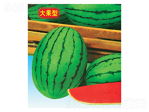 ����紺����-��������-΢����ҵ
