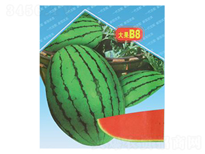 �紺����B8-��������-΢����ҵ