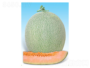 �����ֶ���-�������-΢����ҵ