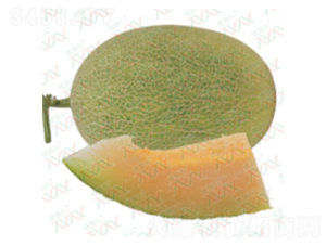 ��M-15017-�������-΢����ҵ