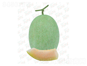 ��M-16002-�������-΢����ҵ
