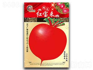 �챦��-�ܲ�����-���ѩ��