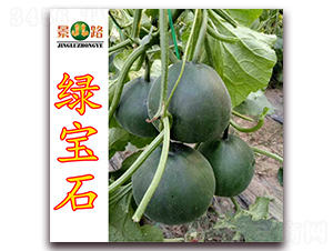 ��·�̱�ʯ-��Ƥ�������-��·��ҵ