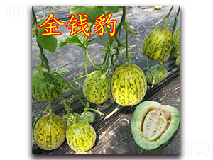 ��·��Ǯ��-��Ƥ�������-��·��ҵ