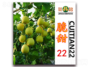 ��·����22-��Ƥ�������-��·��ҵ