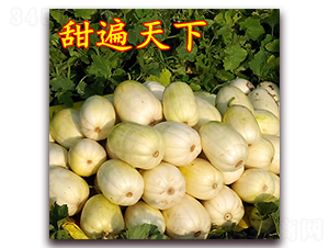 �������-��Ƥ�������-��·��ҵ
