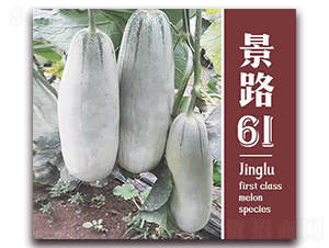 ��·61-��Ƥ�������-��·��ҵ