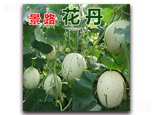 ��·����-��Ƥ�������-��·��ҵ
