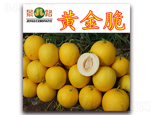 �ƽ��-��Ƥ�������-��·��ҵ