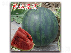 ��·�ڹ�-��������-��·��ҵ
