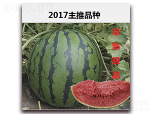 ���켫Ʒ-����������-��·��ҵ