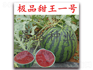 ��Ʒ����1��-����������-��·��ҵ