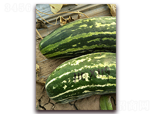 ����Y35-��Ƥ�������-��������