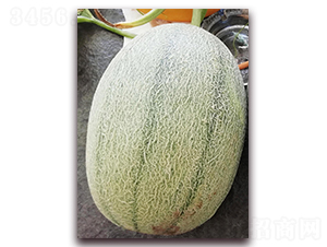 �º���25��-���ܹ�����-��������