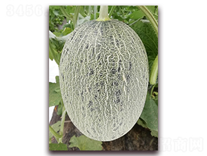 ������7��-���ܹ�����-��������