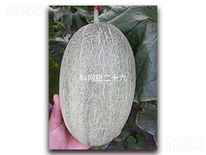 ������26-���ܹ�����-��������