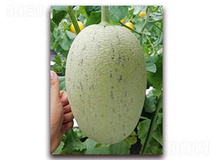 ��ɴ����-���ܹ�����-��������