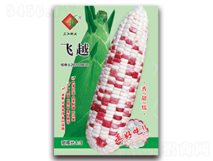 ��Խ-Ŵ��������-������ҵ