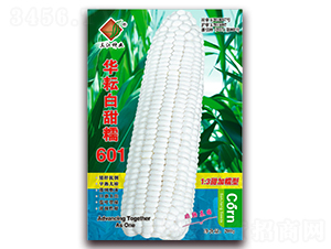 ���Ű���Ŵ601-Ŵ��������-������ҵ