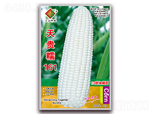 ���Ŵ161-Ŵ��������-������ҵ