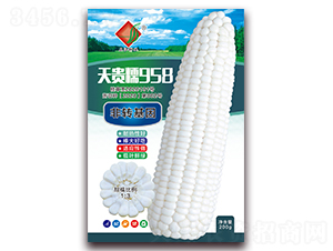 ���Ŵ958-Ŵ��������-������ҵ