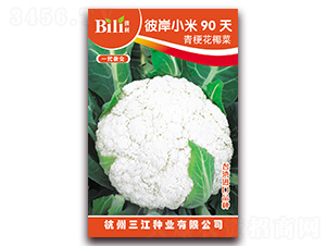 �˰�С��90��-��Ҭ������-������ҵ