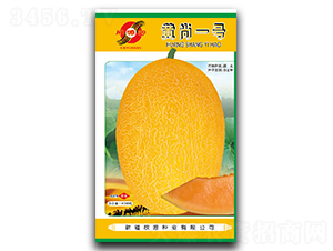 ����һ��-�������-��Դ��ҵ