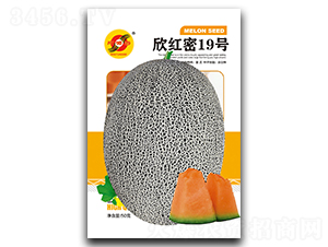 ������19��-�������-��Դ��ҵ