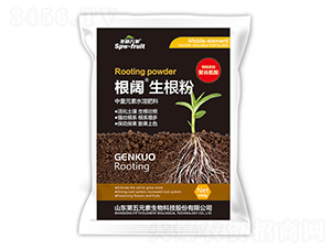 1000g����������-ʥ�����-����Ԫ��