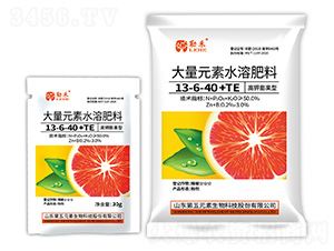 �߼�����ʹ���Ԫ��ˮ�ܷ���13-6-40+TE-�պ�-����Ԫ��