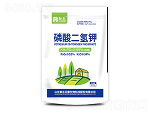 500g������-�պ�-����Ԫ��