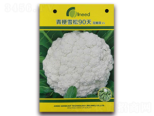�๣ѩ��90�컨Ҭ��F1-��Ҭ������-�����
