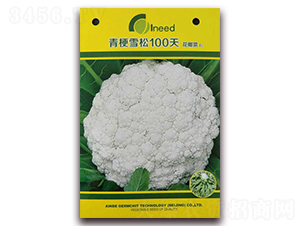 �๣ѩ��100�컨Ҭ��F1-��Ҭ������-�����