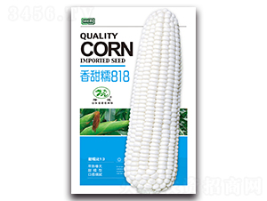 ����Ŵ818-Ŵ��������-¡��