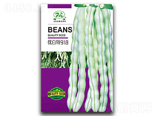 �Ű���918-�ܶ�����-¡��