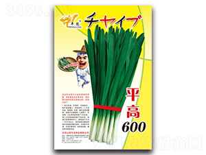 ƽ��600-�²�����-ƽ����ҵ
