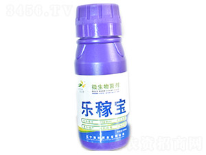 ΢�������-�ּڱ�-ʩ׳��ҵ