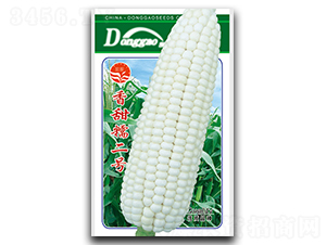 ����Ŵ����-Ŵ��������-��ʢ԰