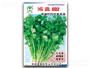 ��ʢ602-ܾݴ����-��ʢ԰