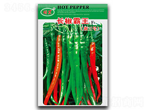 ��������������-��������-��ʢ԰