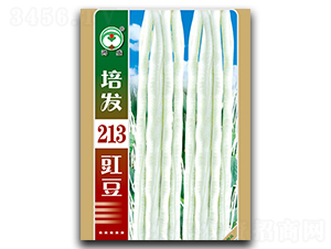 �෢213-��������-��ʢ԰