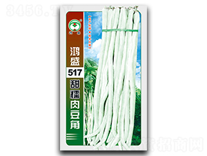 ��ʢ517��Ŵ�ⶹ��-��������-��ʢ԰