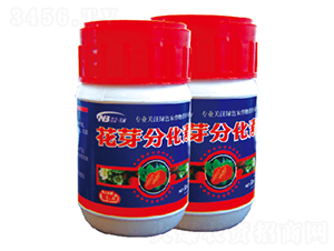 50ml��ѿ�ֻ���-������